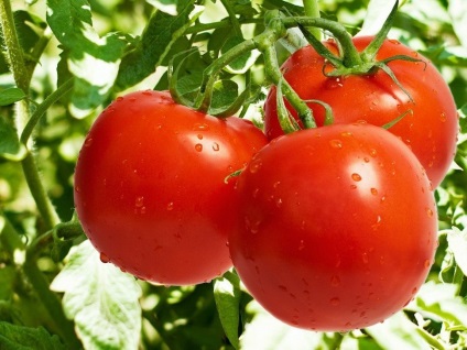 Tomate în medicina populară