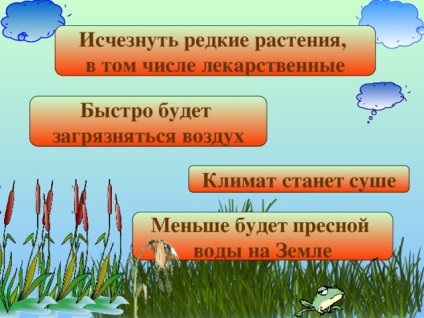 Prezentarea pentru lecția din clasa 3 a lumii înconjurătoare cu privire la necesitatea păstrării mlaștinilor din clasele primare,