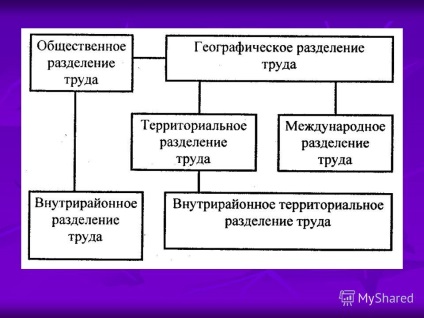 Prezentarea diviziunii internaționale a muncii