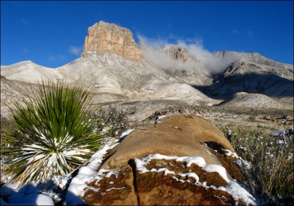 Nature Texas enciklopédia