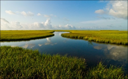 Natura Texas, enciclopedie Statele Unite