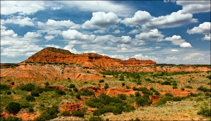 Nature Texas enciklopédia