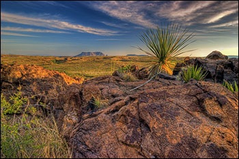 Natura Texas, enciclopedie Statele Unite