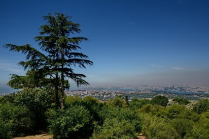 Se plimbe în Istanbul