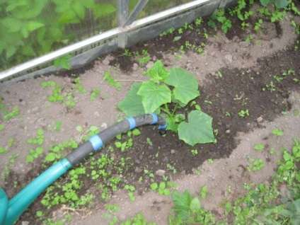 Egyszerű, de hasznos kapcsolódási egy kerti locsolni vagy kannával