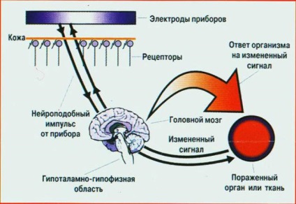 работа танц