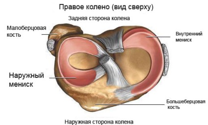 Ruptura meniscus, portal medical eurolab