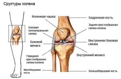 Ruptura meniscus, portal medical eurolab