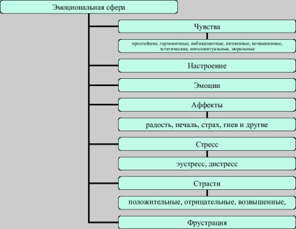 Dezvoltarea sferei emotionale puternice a prescolarilor - sarcini si metode