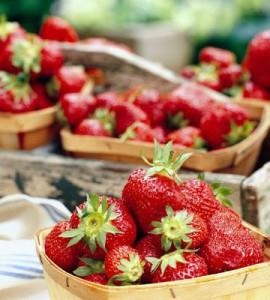 Reparați varietatea de căpșuni, cultivarea, plantarea și îngrijirea - viața mea