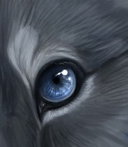 Desenați un ochi animal realist
