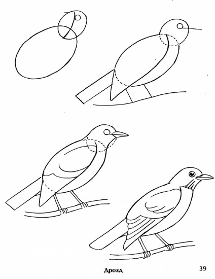 Desene ale unui birdhouse în etape - cum să faci o pasăre cu mâinile tale - instrucțiuni pentru