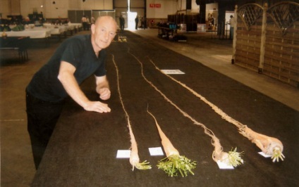 Cele mai mari legume din lume