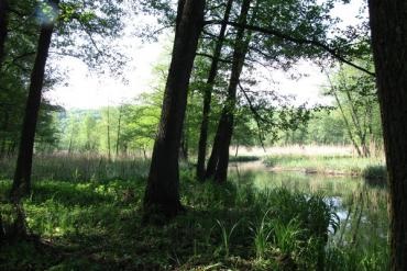 Sanatoriile din regiunea Voronej