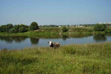 Szanatórium Voronyezs régióban 2017-ben az árak a kezelési, a hivatalos honlapján az üdülőhely szakértő