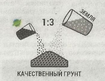 Sapropel - cel mai bun îngrășământ din grădină - grădini din Siberia