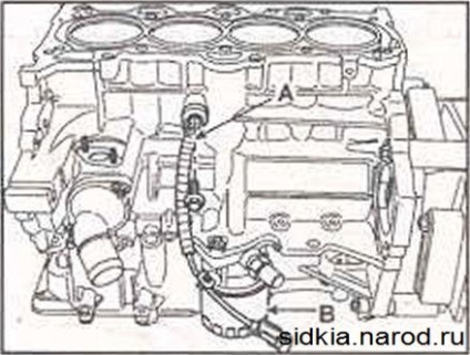 Asamblarea motorului motorizat