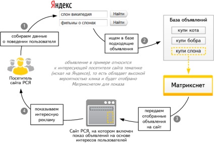 Schelete în cabinet rsya cum să construiască în mod eficient o campanie de publicitate