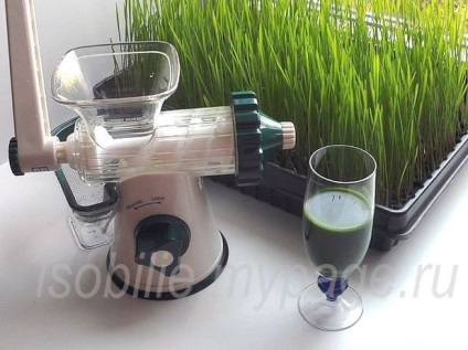 Suc de grâu verde