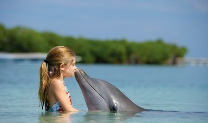 Interpretarea viselor a ceea ce visă delfinii în mare, călcarea într-un vis, o descriere