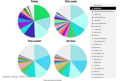 Statisticile și istoricul site-urilor care vizitează Google Chrome