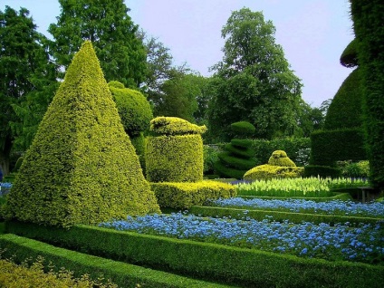 Topiary градини - neobchnaya красота, градина изкуство от древния Рим - пътеводител в света -