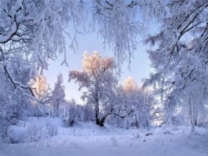 Proiectul educațional, imaginea iernii în poezia scriitorilor ruși