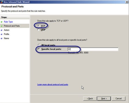 Instalarea serverului ssh în Windows Server 2008 - totul despre el și programare