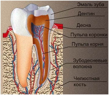 Instalarea coroanelor dentare în stomatologie denta plus în altufevo, cele mai bune prețuri pentru grămada de moscow