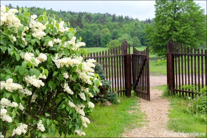 Vasilievsky (Marino)