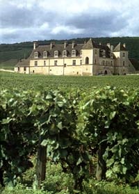 Vinificarea în Burgundia - producția de vin și soiurile locale de struguri