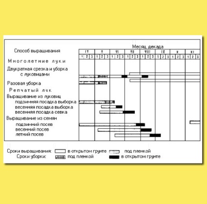 Cultivarea cepei în regiunea nord-vestică și în solul non-negru al Rusiei (partea 6)