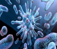 A vírusok és baktériumok a víz fertőtlenítésére és eltávolítását, víz-szolgáltatást