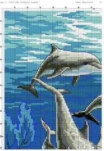 Cross-cusatura broderie model delfini