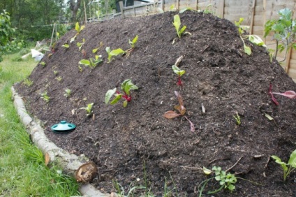 Cultura extrem de eficientă a paturilor înalte