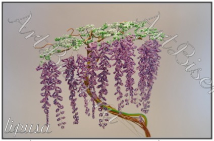 Wisteria Chineză - clasă de master (beadwork) - 17 45 - lecție de la utilizatorul Ekaterina