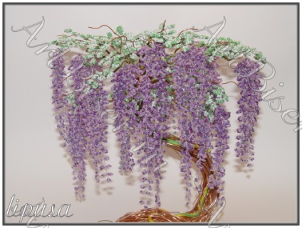 Wisteria Chineză - clasă de master (beadwork) - 17 45 - lecție de la utilizatorul Ekaterina