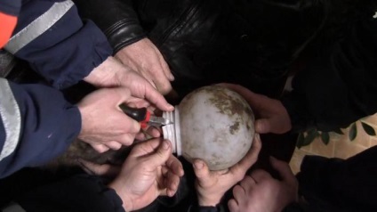 În Novoshakhtinsk salvat catelul, al cărui cap este blocat în plafond