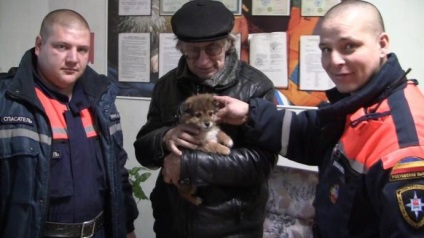 În Novoshakhtinsk salvat catelul, al cărui cap este blocat în plafond