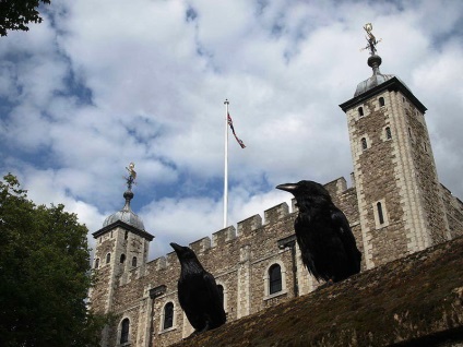 Crows of the Tower - piatra de temelie a statului britanic, salut, Londra