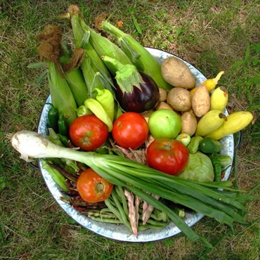 Cutie de depozitare de legume, cariere, depozitare pentru legume