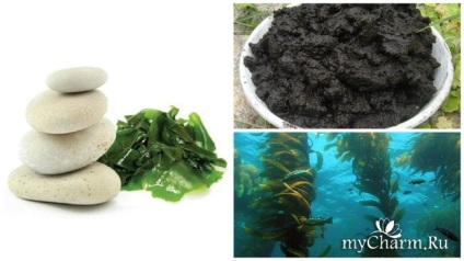 Lefogy alga fitness test - floresan alga-il-elasztikus gél bőrfeszesítő és
