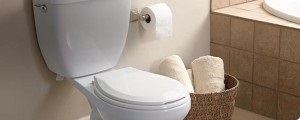 Cseréje WC csésze lapos teljesítmény értékelése, használati kiválasztás folyamata változatok és árnyalatok