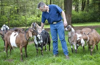 Ferme familiale de animale