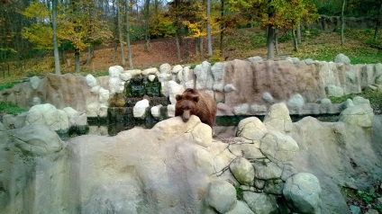 Zoo Brno - fotografie, preț, programul de funcționare