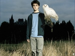 30 érdekes tény a Harry Potter, érdekes