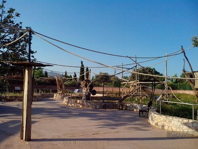 Atena Zoo