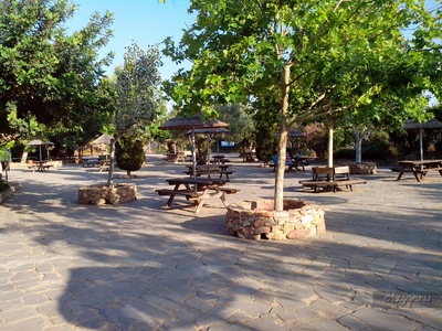 Atena Zoo