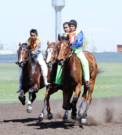 Alaman-baiga - un fel de sport ecvestru național - un site despre cai