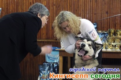 Alahaman Malamute și alți prieteni uimitori cu patru picioare la spectacolul de câine în Kingisepp -